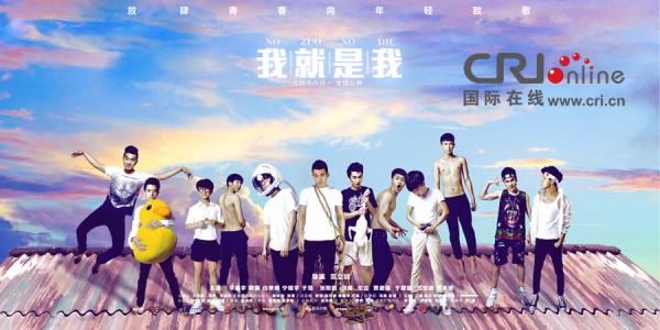 梅西纳大学环境科学学位证书